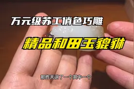 龙的儿子二携子上朝和田玉貔貅，家族兴旺，共走财富之路手工雕刻视频封面