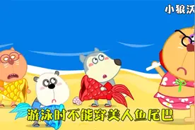 儿童动画：沃夫和伙伴游泳，想要穿上美人鱼尾巴，老师制止了他们视频封面