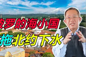 这俩波罗的海国家，分饰“红白脸”！目的都是拖北约下水视频封面