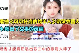 中文歌曲《可可托海的牧羊人》听哭外国人,老外:唱出了故事的灵魂