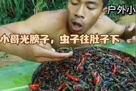小哥光膀子，虫子往肚下视频封面