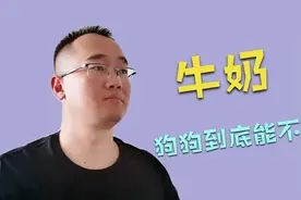 不要给狗狗喝牛奶，为什么狗狗中毒，宠物医生又让给它灌牛奶