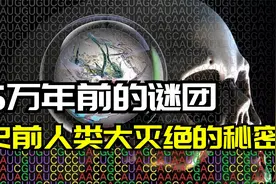 史前人类灭绝之谜 石器时代的巨大谜团 人类基因里隐藏的进化密码视频封面
