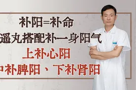 补阳=补命，逍遥丸搭配补一身阳气，上补心阳、中补脾阳下补肾阳视频封面