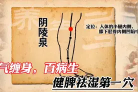 湿气缠身则百病生，健脾祛湿第一穴——阴陵泉！视频封面