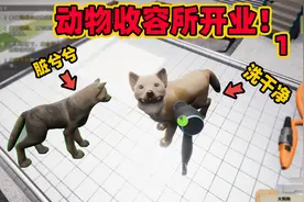 动物收容所：重新开业欢迎光临！给狗子洗白白再送它离开！视频封面