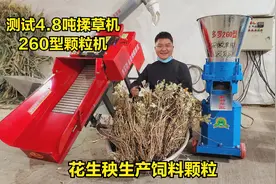 花生秧也能做颗粒饲料？好处是啥？测试4.8吨+230型，半熟化储存视频封面