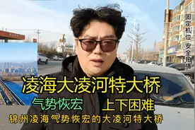 凌海大凌河特大桥，网友反映上下困难，点赞收藏转发给你爱的家人视频封面