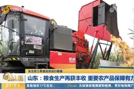 山东：粮食生产再获丰收，重要农产品保障有力视频封面