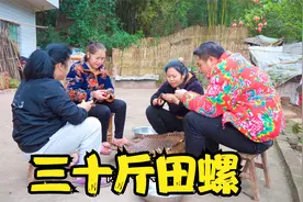 儿子爱吃田螺，爷爷嫌弃它没肉，满满一盆端上桌却深受家人喜爱