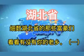 湖北省的富豪们，你认识几位？看看有没有你的老乡！（一）视频封面
