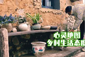 改造旧瓦房之搭建后花园 没人能抵挡得住花的诱惑视频封面