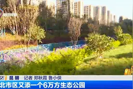 北市区又添一个6万方生态公园视频封面