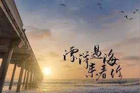 漂洋过海来看你 最好听的版本视频封面