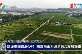 建设美丽宜居乡村 南海狮山为城乡融合发展探路视频封面