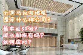 台海核电被市场爆炒？他真的那么香吗？基本面如何，后市如何走？视频封面