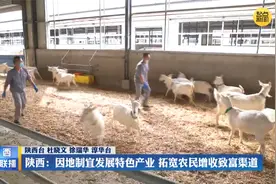 陕西：因地制宜发展特色产业 拓宽农民增收致富渠道视频封面