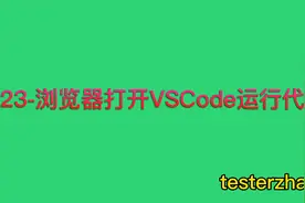 每日一技-浏览器上操作VScode运行代码视频封面