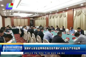国家矿山安全监察局莅临龙岩开展矿山安全生产专项监察视频封面