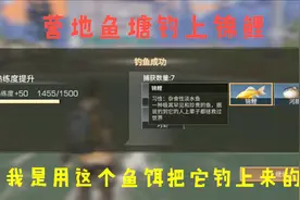 明日之后：营地鱼塘钓上锦鲤，你想知道的鱼竿和鱼饵都在这里！