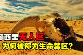 危险度最高的禁区之一，可可西里有多恐怖？为何不允许随意进入？视频封面