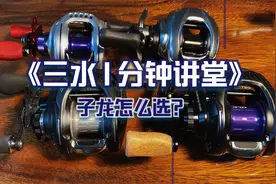 子龙那么多，哪个最好？