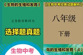 初中生物中考真题解析之八年级生物下册“鸟的生殖和发育”（4）视频封面