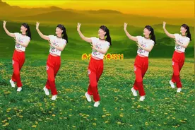 民歌《爱陕北》演唱：王二妮，嗓音清脆好听，这舞蹈也好看视频封面
