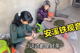 这里是铁观音原产地，家家户户都喝茶，却因为地少很多人外出卖茶视频封面
