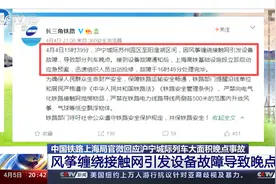 中铁上海局回应沪宁城际列车大面积晚点事故 风筝缠绕引发故障视频封面