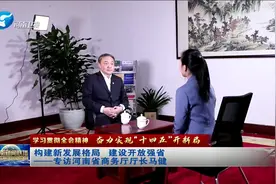 构建新发展格局 建设开放强省 ——专访河南省商务厅厅长马健视频封面