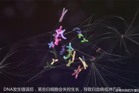 【3D演示，白血病的真相是什么？】视频封面