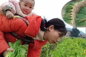 勤劳朴实贵州媳妇背娃拣菜，养儿才知父母恩，体会到多孝敬父母视频封面