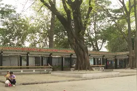 佛山暂停举办大型群众聚集性活动   疾控呼吁：抵佛后3天2检视频封面