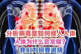 分析病毒是如何侵入人体的，人体为什么会发烧？我们为何要退烧视频封面