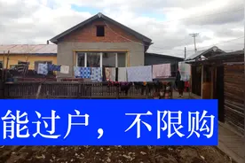 广西人去东北养老，2万元买一套288平房子，乡镇房子这价值吗？视频封面