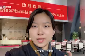 “码农学校”传智教育上市 李开复创新工场入股|全景新股秀视频封面