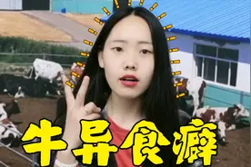 养牛乱吃东西怎么办？牛异食癖的防治方法介绍，养殖户建议收藏。视频封面