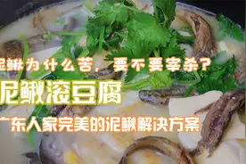 泥鳅豆腐汤，广东营养滋补汤 怎样宰杀不腥不苦，正宗做法快收藏视频封面