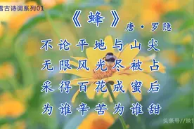 最受好评的100首七绝古诗01：采得百花成蜜后、为谁辛苦为谁甜视频封面