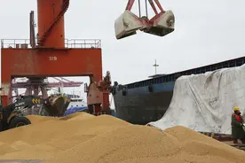 俄罗斯等11国暂停大豆对华出口，中国恢复购买美豆，781万吨抵华视频封面