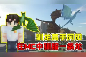 我的世界mod：史诗级龙模组，阿阳教你如何成为一名驯龙高手视频封面