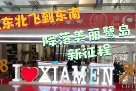 从东北飞到东南 降落美丽鹭岛新征程视频封面