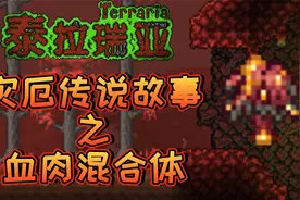 泰拉瑞亚灾厄传说故事—血肉宿主视频封面