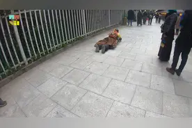 自驾游西藏，虔诚大叔磕长头1年半到拉萨，还要再磕10000个，佩服视频封面