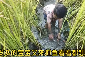 2岁多小宝宝才学抓鱼几次,看起来像抓鱼老手,太搞笑了视频封面