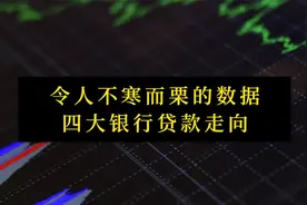 令人不寒而栗的数据：四大银行借款走向视频封面