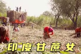 印度甘蔗女，为了赚钱被骗切除子宫，最小的只有20岁，纪录片视频封面