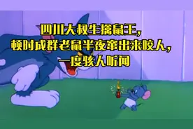 四川大叔生擒鼠王，顿时成群老鼠半夜窜出来咬人，一度骇人听闻视频封面