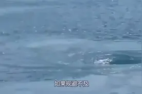 漩涡真能把人吸进去吗？小伙亲身体验，结果却让人意想不到！视频封面